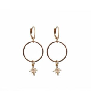 Celeste Earring gouden oorbellen
